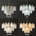 Brushed Gold 23 Inch Crystal Chandelier Illumination