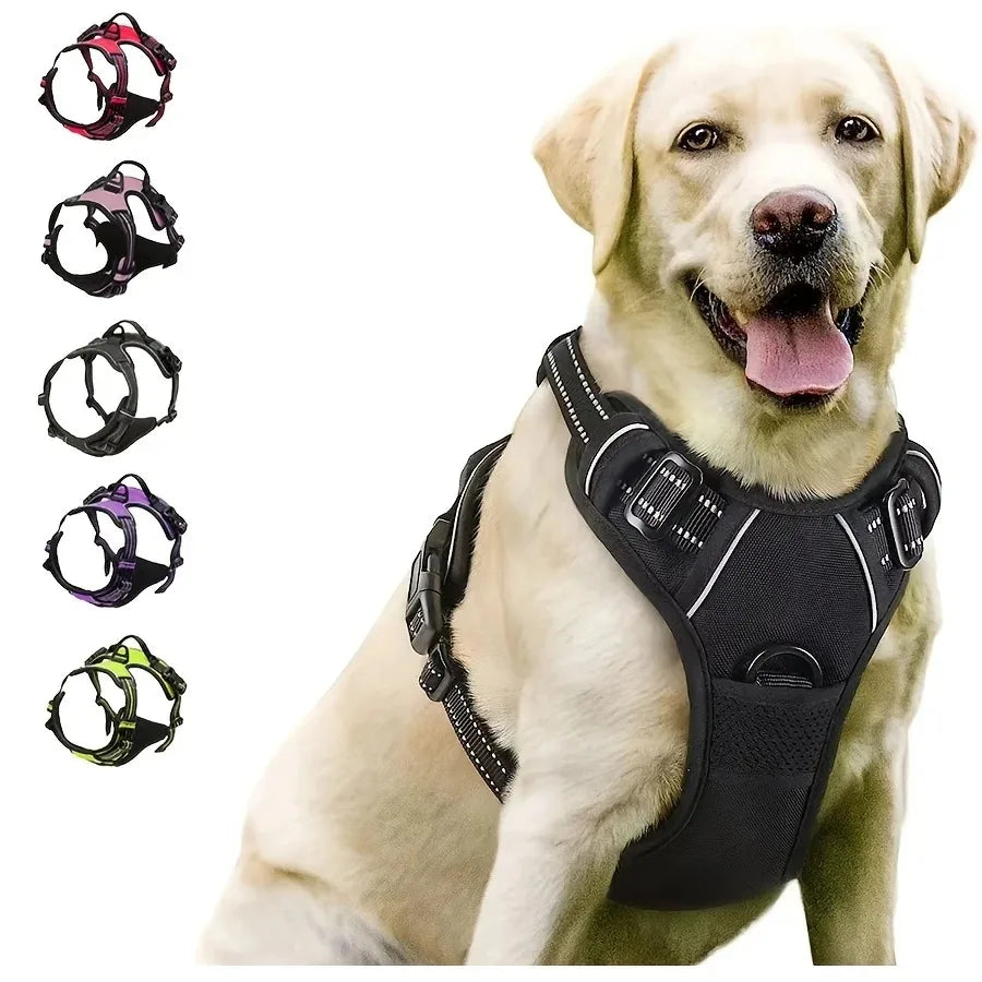 Collari per cani Imbracatura Gilet grandi Guinzaglio Negozio di animali Tutto per cani Accessori per cuccioli in pelle Set medio piccolo