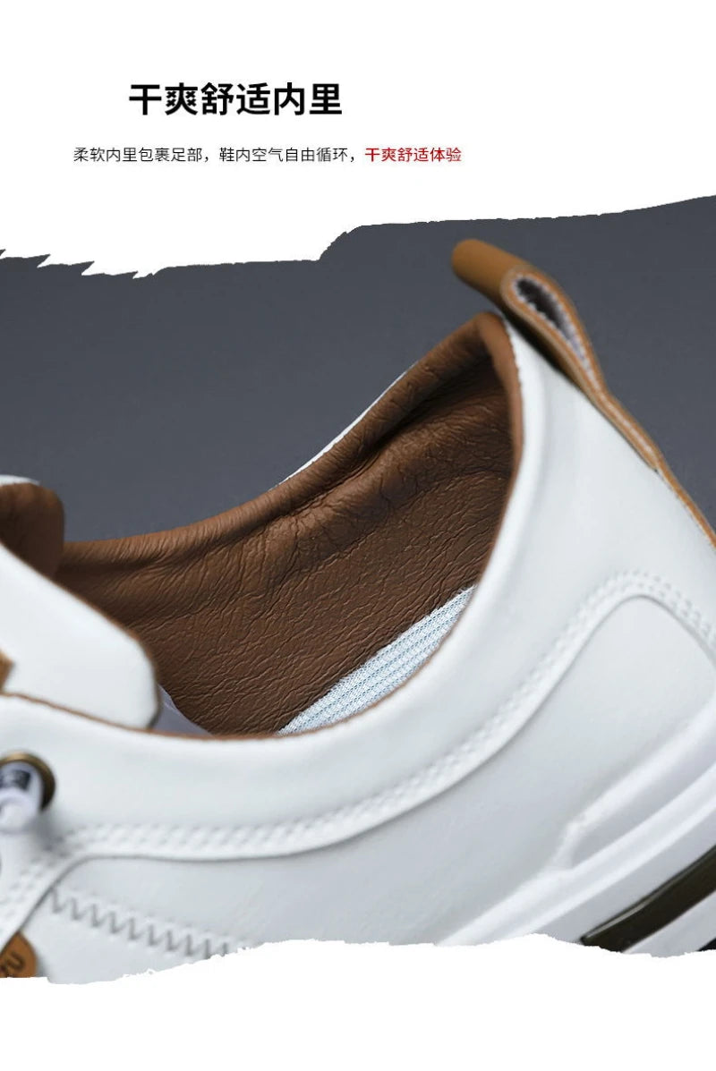 Nuove Sneakers Casual da Uomo a Profilo Basso, Stile Coreano, Versatili, Comode, Leggere, con Suola Morbida e Piattaforma per l'Uso Quotidiano