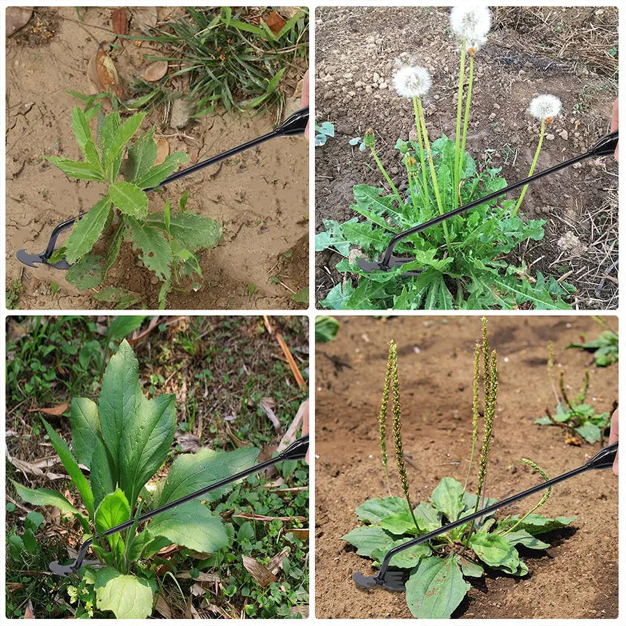 Zappa da giardino Forniture agricole Strumento per erbacce Attrezzi da giardinaggio Utensili Mano Erbeicide Insegnante di erbacce Agricoltura Accessori per aziende agricole