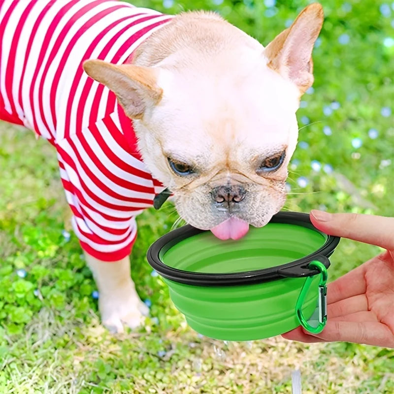 Ciotola portatile per alimenti per animali domestici Ciotola durevole in TPR Cibo per cani e gatti Ciotola pieghevole in silicone per animali domestici Ciotola portatile per alimenti per acqua all'aperto da viaggio