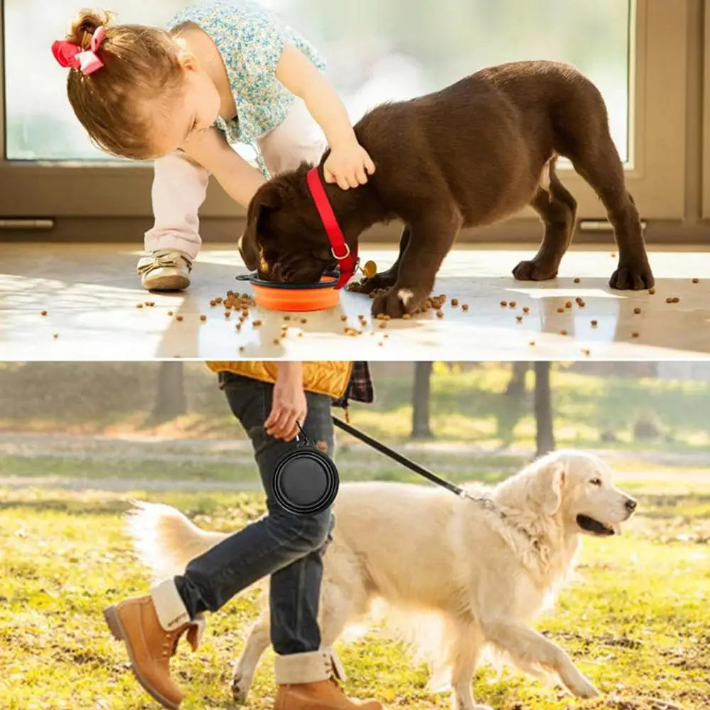 Ciotola da Viaggio per Cani, Ciotole Pieghevoli per Cani, Ciotola Pieghevole per Acqua per Gatti, Piatto Portatile per Alimentazione e Acqua per Animali Domestici con Moschettone