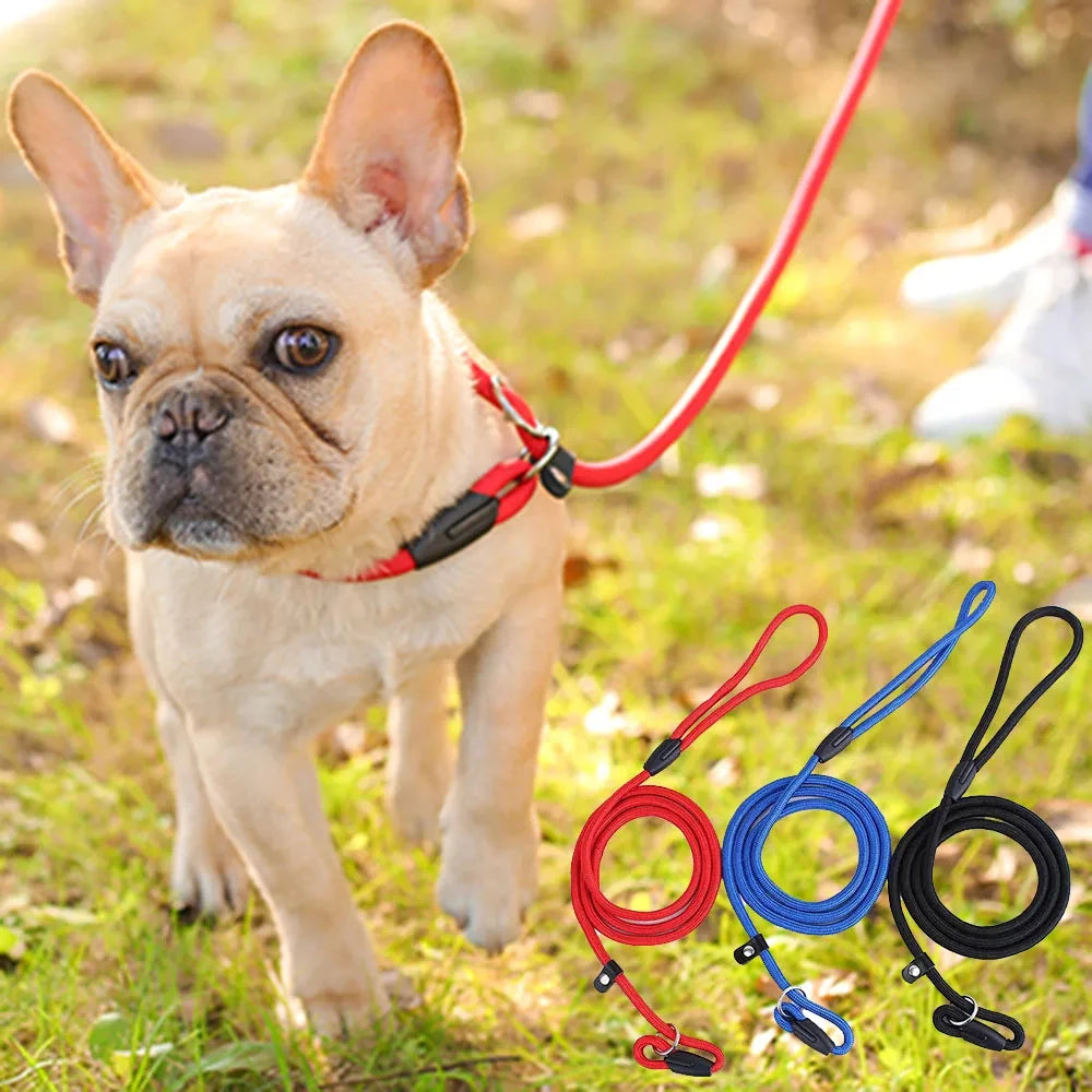Dog Training Leash P Leash, Durable Nylon Material Heavy Duty, Anti-Pull Comfortable Sturdy Pet Traction Rope Pet Supply