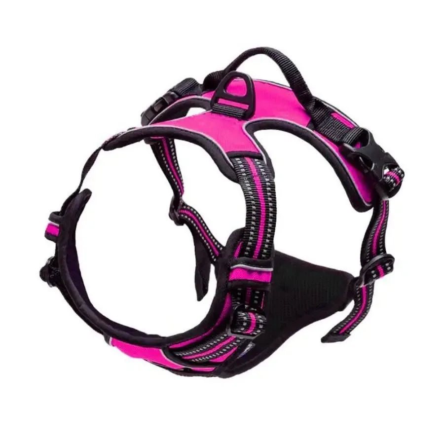 Collari per cani Imbracatura Gilet grandi Guinzaglio Negozio di animali Tutto per cani Accessori per cuccioli in pelle Set medio piccolo