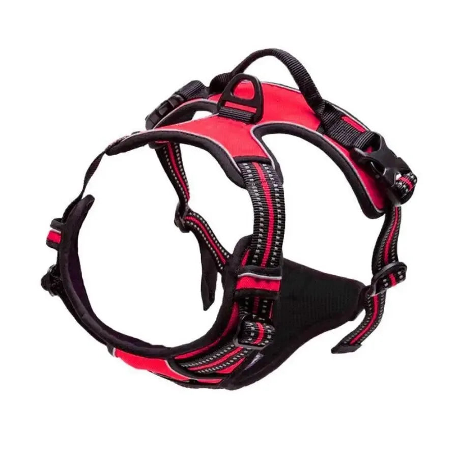 Collari per cani Imbracatura Gilet grandi Guinzaglio Negozio di animali Tutto per cani Accessori per cuccioli in pelle Set medio piccolo