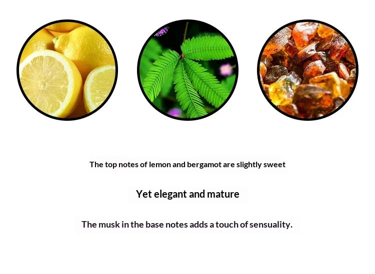 50ML Brand Perfume Sandalwood Women Perfume Spray Long Lasting Fruity Citrus Floral Light Fragrance Women Gentle Romance Gift