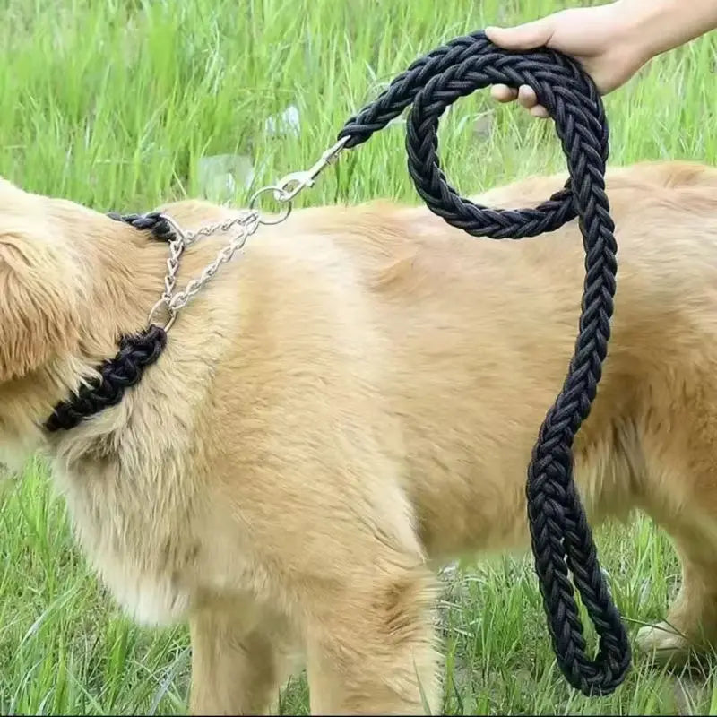 Dog leash for effective training and comfortable walking, strong and durable braid, suitable for large dogs, dog training leash