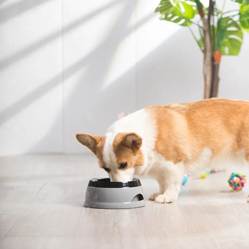 Pet Dog Bowls Floating Not Wetting Mouth Cat Bowl No Spill Drinking Water Feeder Plastic Portable Dog Bowl dog accessories