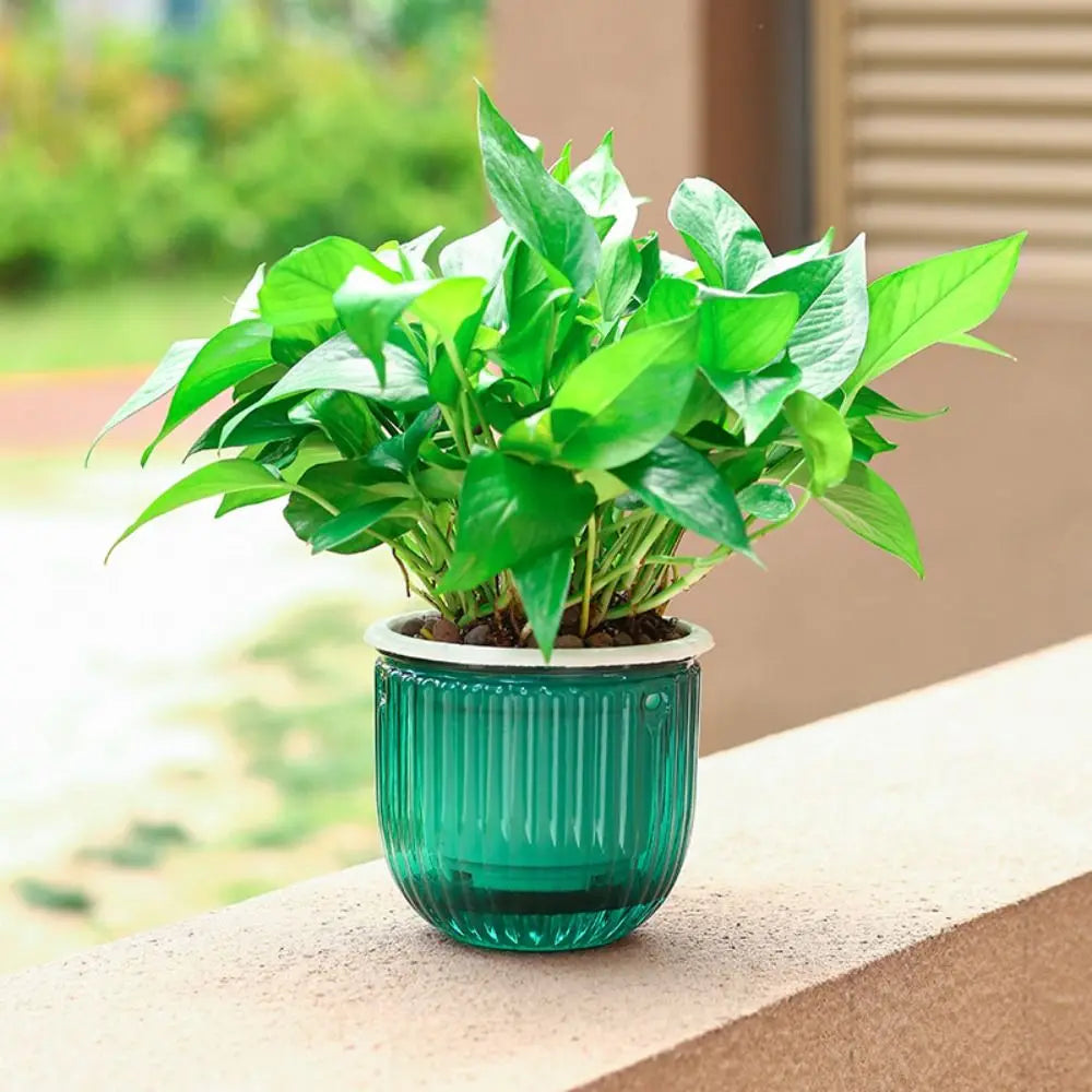 Decorazione da giardino Vaso da fiori autoirrigante con pianta a catena Vasi da fiori sospesi con fori di drenaggio Fioriera pigra Decorazioni per la casa