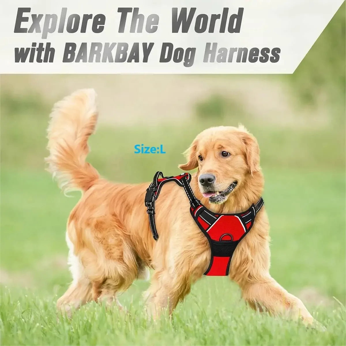 Collari per cani Imbracatura Gilet grandi Guinzaglio Negozio di animali Tutto per cani Accessori per cuccioli in pelle Set medio piccolo