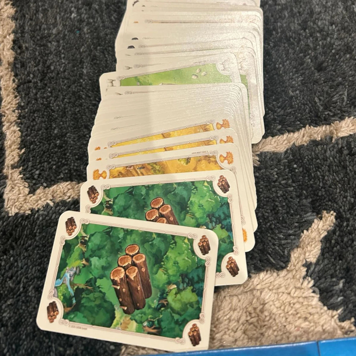Gioco da tavolo (5a edizione) Commercia, costruisci e colonizza nel classico gioco di strategia per famiglie, bambini e adulti, dai 10 anni in su, 3-4 giocatori