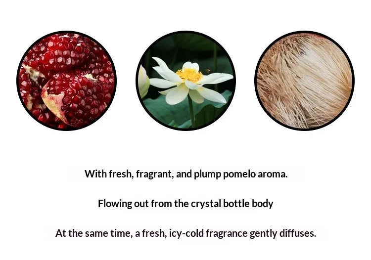 50ML Brand Perfume Sandalwood Women Perfume Spray Long Lasting Fruity Citrus Floral Light Fragrance Women Gentle Romance Gift