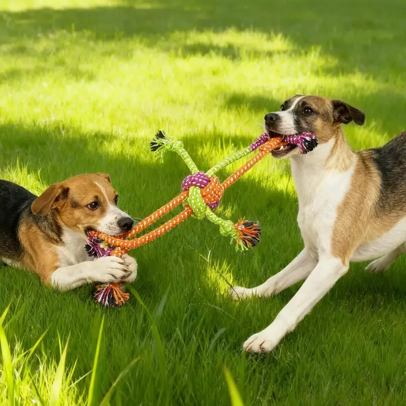 Durevole corda per cani giocattolo pulizia dei denti animale domestico interattivo da masticare giocattolo per cani addestramento all'aperto cucciolo osso nodo corda prodotti per animali domestici