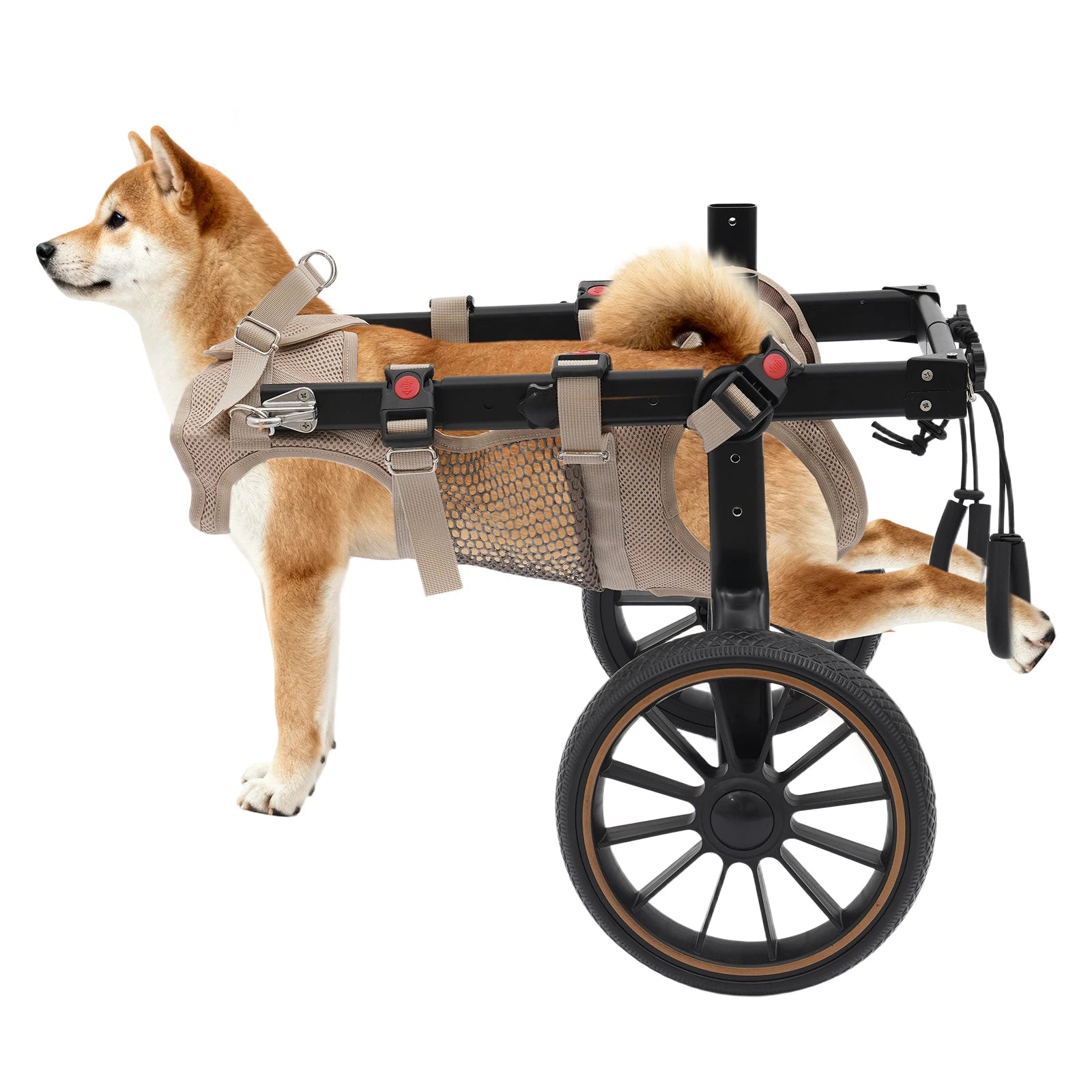 Carrozzine per Cani a 2 Ruote, Ausilio per la Riabilitazione e la Deambulazione, Carrello Regolabile per il Supporto delle Zampe Posteriori, Accessori per la Cura degli Animali Domestici