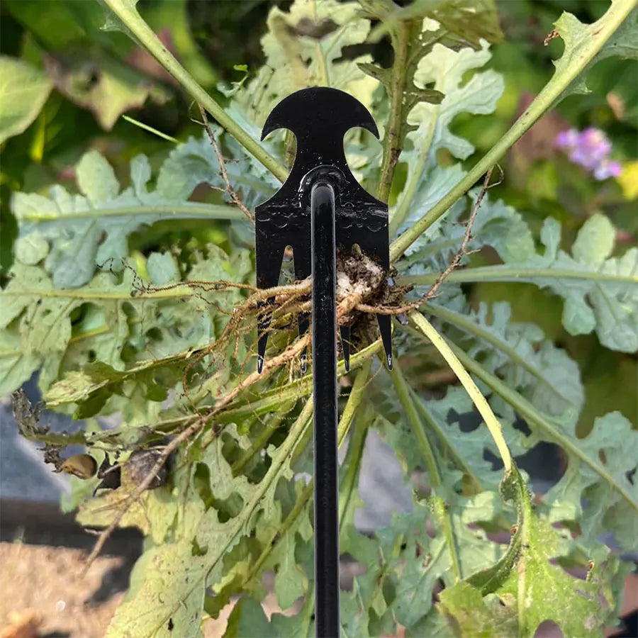 Zappa da giardino Forniture agricole Strumento per erbacce Attrezzi da giardinaggio Utensili Mano Erbeicide Insegnante di erbacce Agricoltura Accessori per aziende agricole
