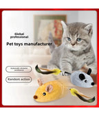 Giocattolo Interattivo Per Gatti Con Mouse Mobile Rilevamento Automatico USB