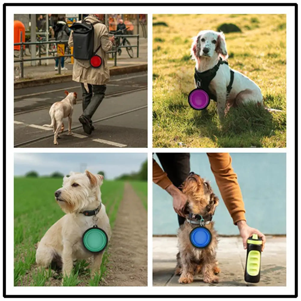 Ciotola da Viaggio per Cani, Ciotole Pieghevoli per Cani, Ciotola Pieghevole per Acqua per Gatti, Piatto Portatile per Alimentazione e Acqua per Animali Domestici con Moschettone