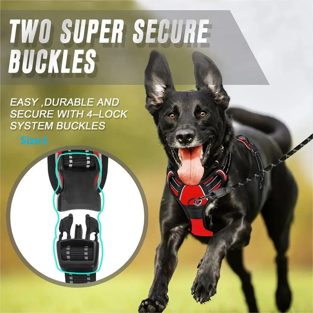 Collari per cani Imbracatura Gilet grandi Guinzaglio Negozio di animali Tutto per cani Accessori per cuccioli in pelle Set medio piccolo