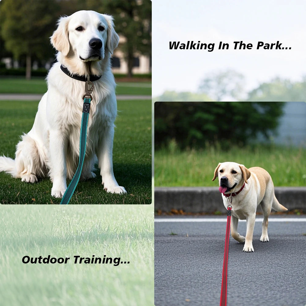 Big Dog Long Leash 10M 5M 3M 2M Non-Silp Anti Escape Training Traction Rope 3 2 Meters Medium Large Pet Durable Nylon Leashes