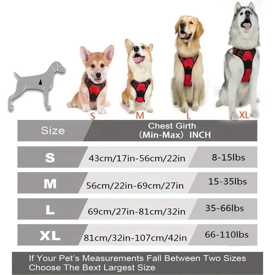 Collari per cani Imbracatura Gilet grandi Guinzaglio Negozio di animali Tutto per cani Accessori per cuccioli in pelle Set medio piccolo