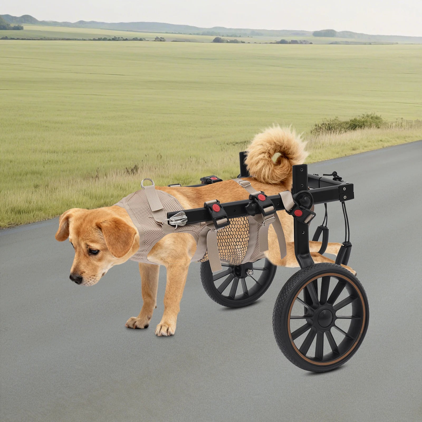 Carrozzine per Cani a 2 Ruote, Ausilio per la Riabilitazione e la Deambulazione, Carrello Regolabile per il Supporto delle Zampe Posteriori, Accessori per la Cura degli Animali Domestici