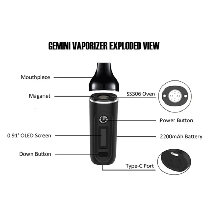 Vaporizzatore per erbe secche Anix Gemini Pro Herbal Vape Pen 2200mah Batteria Controllo della temperatura Schermo OLED Tipo-C Ricarica sigarette elettroniche