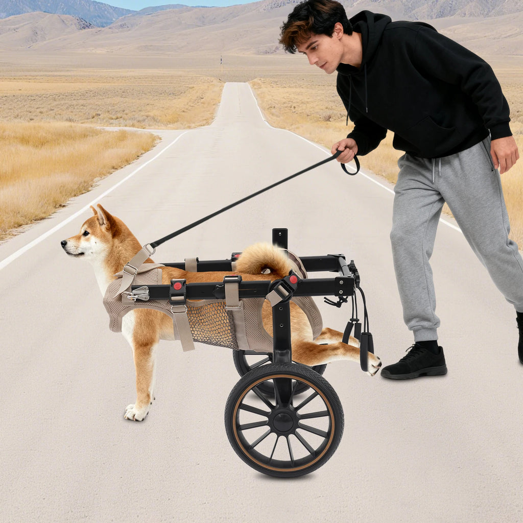 Carrozzine per Cani a 2 Ruote, Ausilio per la Riabilitazione e la Deambulazione, Carrello Regolabile per il Supporto delle Zampe Posteriori, Accessori per la Cura degli Animali Domestici