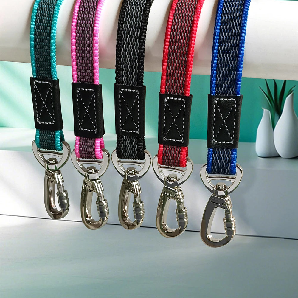 Big Dog Long Leash 10M 5M 3M 2M Non-Silp Anti Escape Training Traction Rope 3 2 Meters Medium Large Pet Durable Nylon Leashes