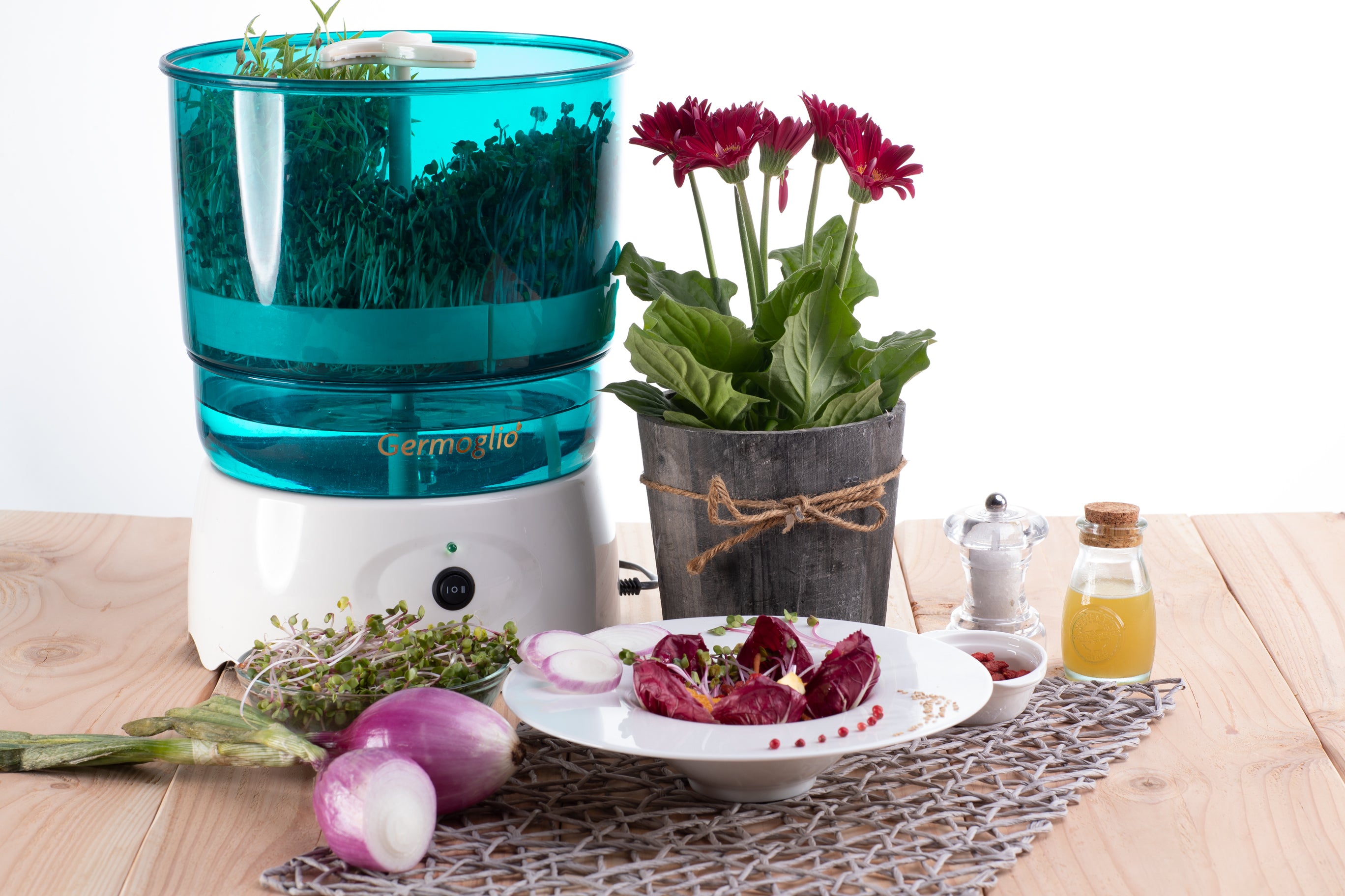 Germinatore Automatico Per Germogli Macchina Per Coltivare Germogli Freschi