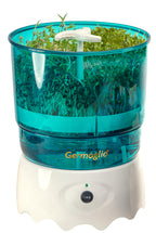 Germinatore Automatico Per Germogli Macchina Per Coltivare Germogli Freschi