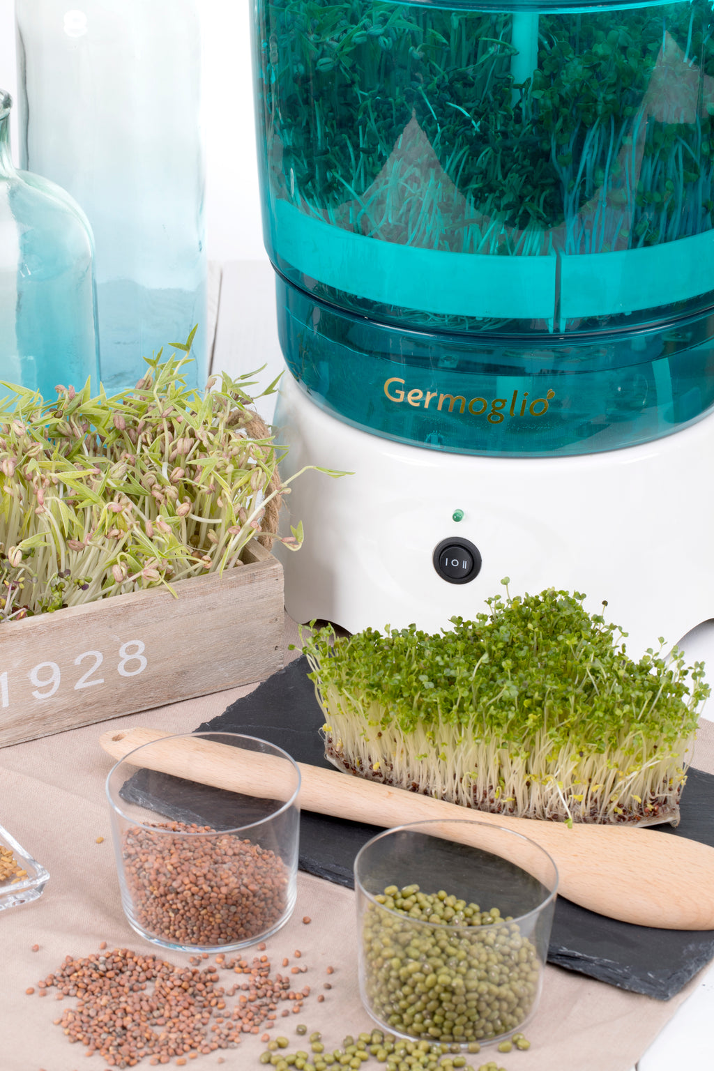 Germinatore Automatico Per Germogli Macchina Per Coltivare Germogli Freschi